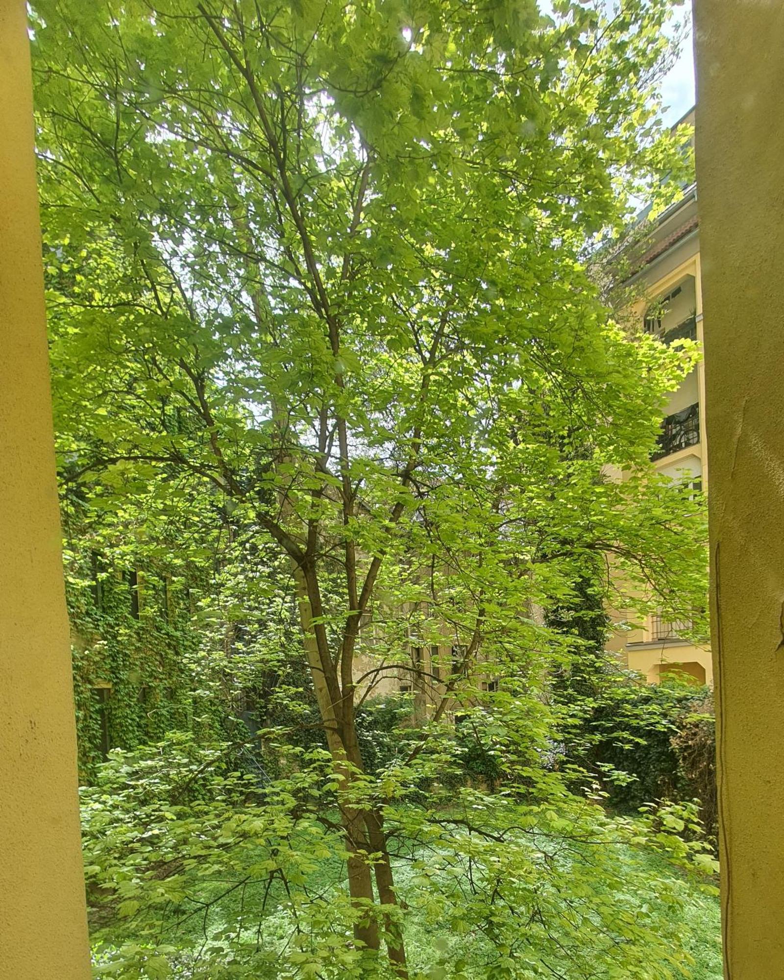 Mlynske Nivy 6, Ba Apartment Bratislava Luaran gambar
